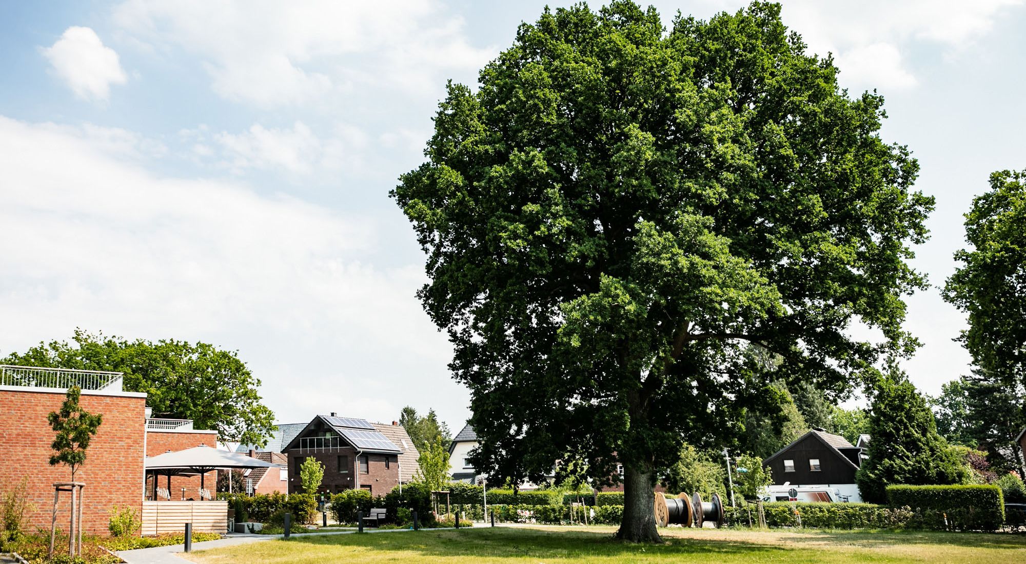 Grünfläche am Eichencafé und Kolumbarium Wulff & Sohn in Norderstedt